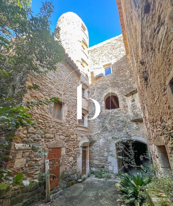 Maison 10p à Saint-Julien-de-Peyrolas