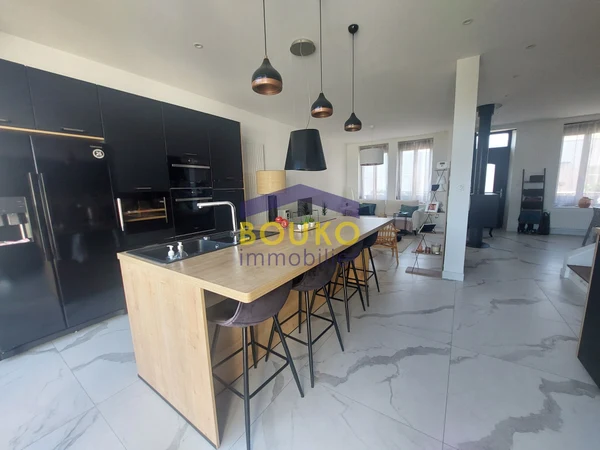 Maison 7p à Dombasle-sur-Meurthe